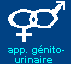 Appareil Gnito-Urinaire